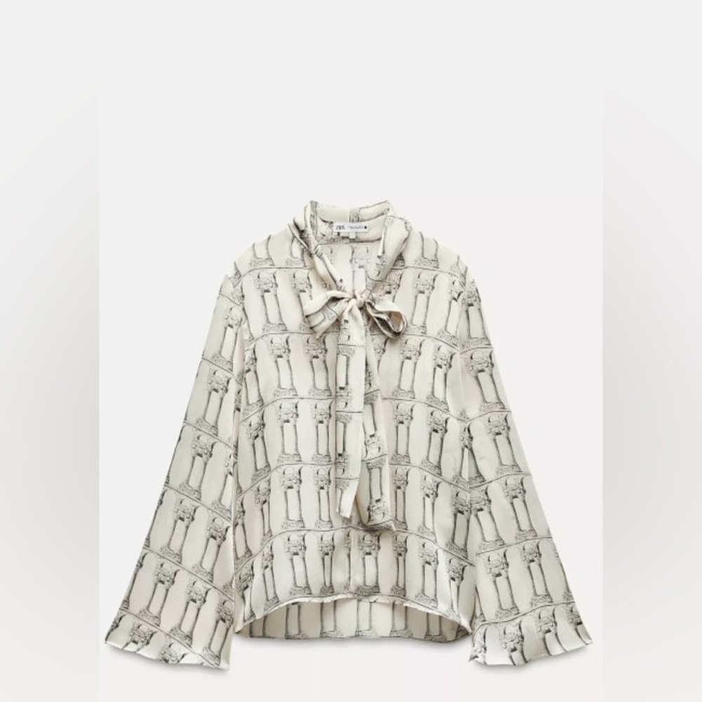 Zara Ancient Column Graphic Blouse
